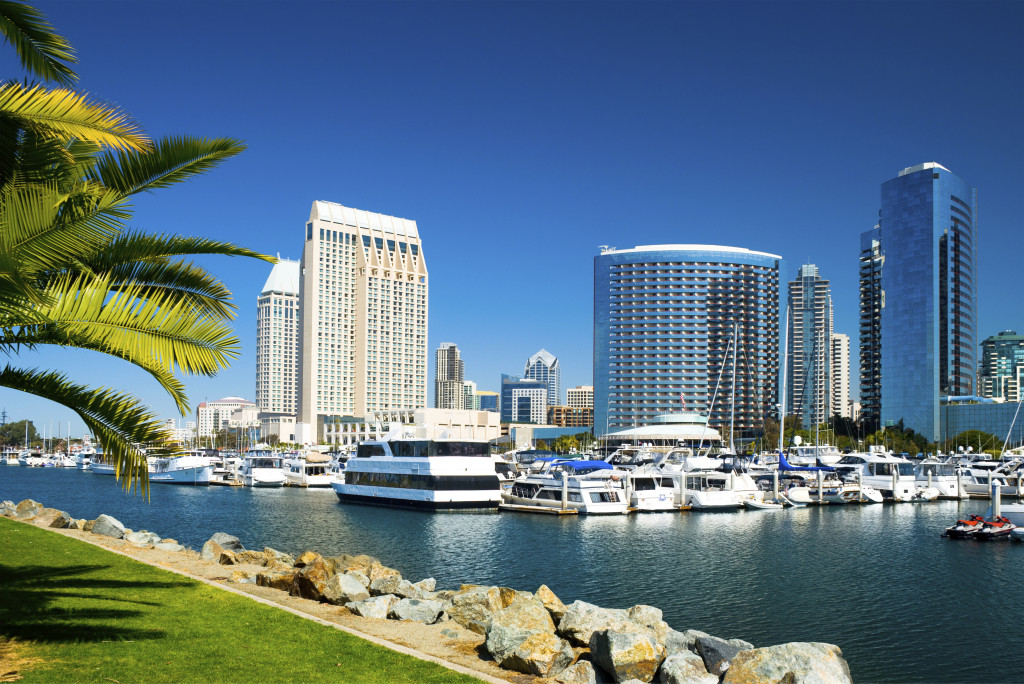 San Diego downtown skyline, marina with boats, and park with palm tree leaves